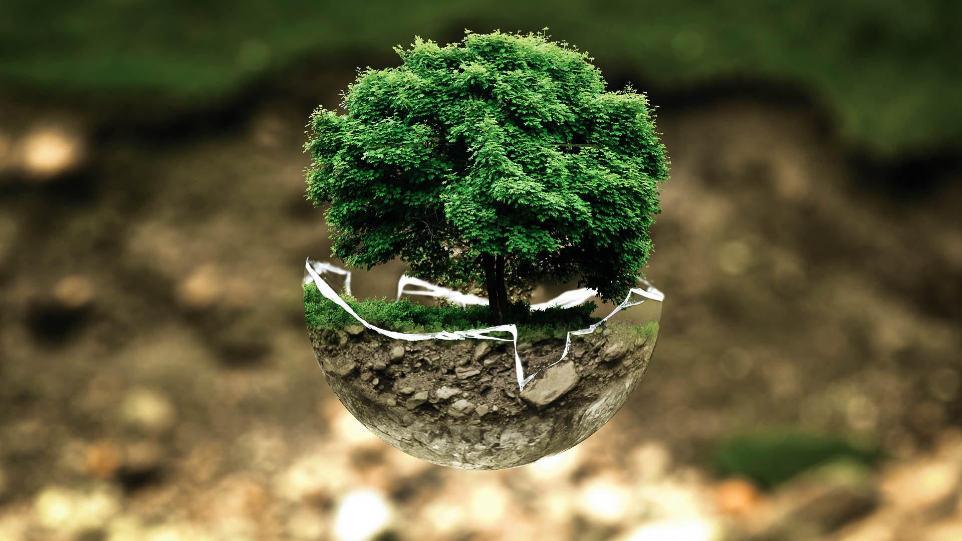 Punto Ecologico -via Malta